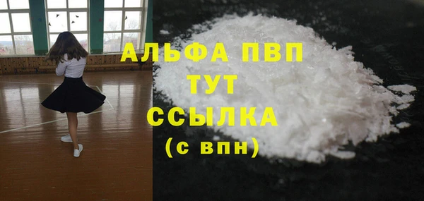 спиды Верея