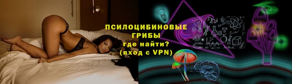 спиды Верея