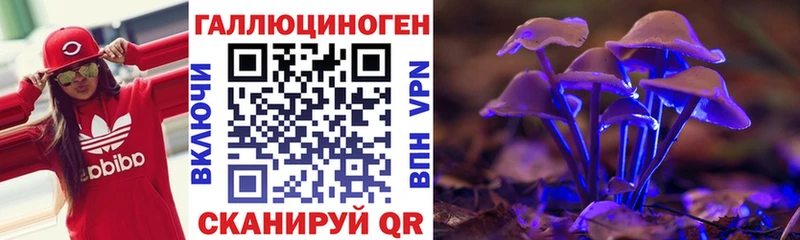где можно купить наркотик  Кочубеевское  kraken ONION  Галлюциногенные грибы мицелий 
